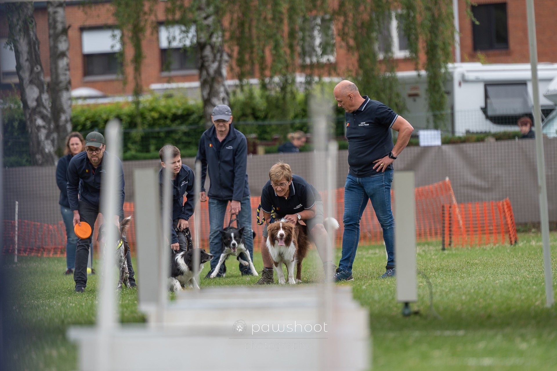 Flyball Lihos